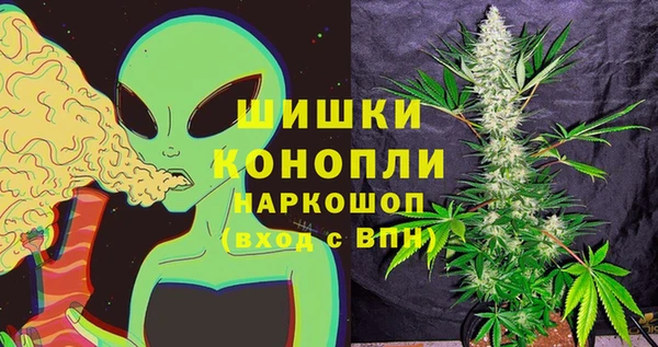 стаф Осташков