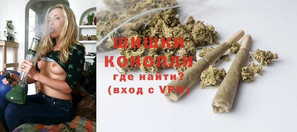 стаф Осташков