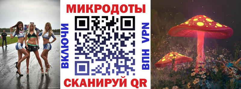 Псилоцибиновые грибы Psilocybe  даркнет клад  Новомичуринск 
